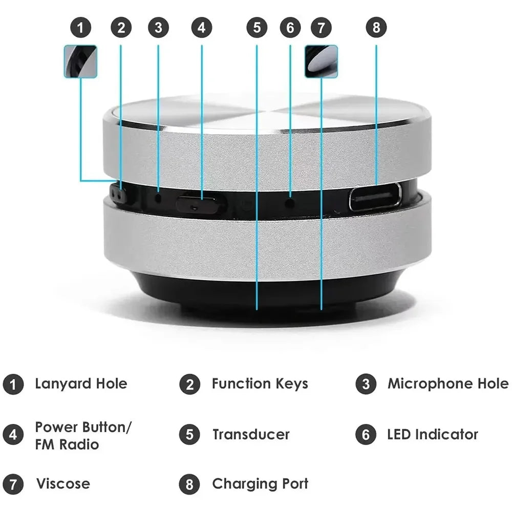 ANYTHING SPEAKER (bone conduction sound)