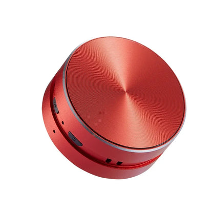 ANYTHING SPEAKER (bone conduction sound)